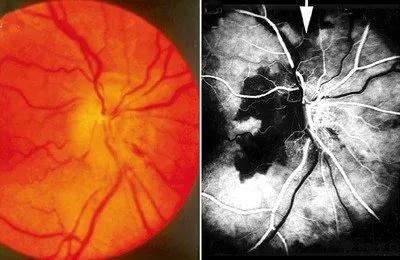 1612237099501850.jpg 微信圖片_20210202113623.jpg