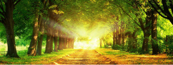 1612237679114047.png 微信圖片_20210202114516.png